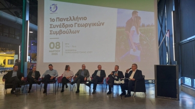 &Tau;&omicron; eMT cluster &sigma;&tau;&omicron; 1&omicron; &Pi;&alpha;&nu;&epsilon;&lambda;&lambda;ή&nu;&iota;&omicron; &Sigma;&upsilon;&nu;έ&delta;&rho;&iota;&omicron; &Gamma;&epsilon;&omega;&rho;&gamma;&iota;&kappa;ώ&nu; &Sigma;&upsilon;&mu;&beta;&omicron;ύ&lambda;&omega;&nu; &sigma;&tau;&eta; &Lambda;ά&rho;&iota;&sigma;&alpha;